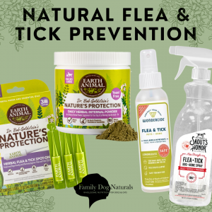 Natural flea and tick prevention options